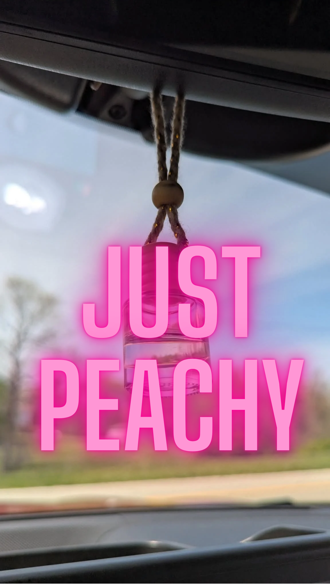 Just Peachy Oil Diffuser Car Air Freshener, 4-6weeks scent