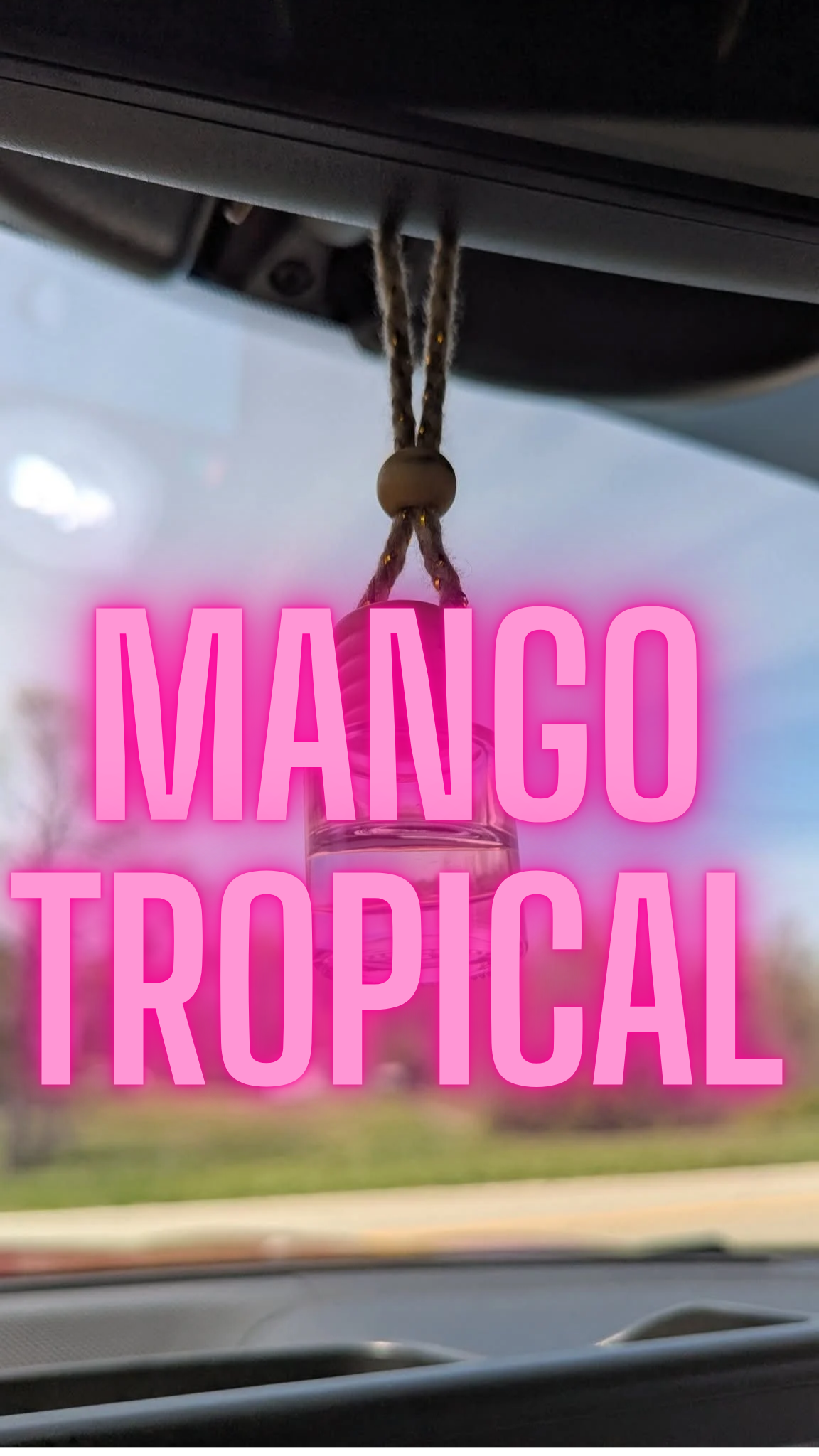 Mango Tropical Oil Diffuser Car Air Freshener, 4-6weeks scent