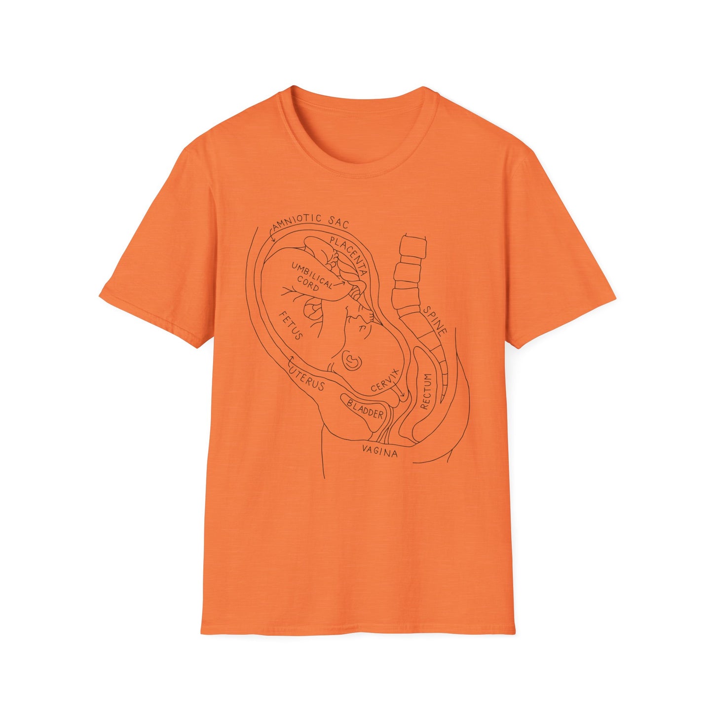 Baby, Fetal Fetus, labor and delivery, Graphic Tee for Everyday Comfort, Unisex Softstyle T-Shirt, Casual Wear, Gifts for Her, Gifts for Him, Birthday Gift, [...]