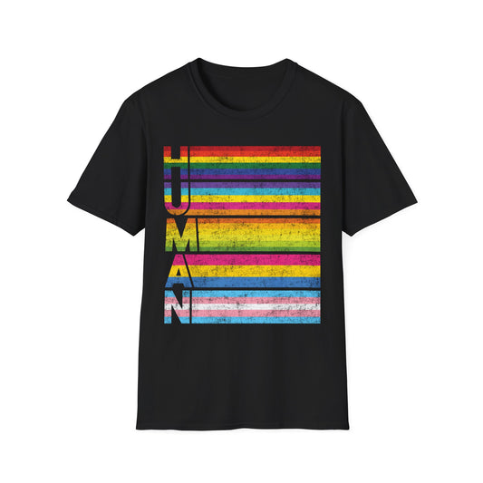 Rainbow Stripes Distressed, Human T-Shirt, Pride Apparel, Unisex Cotton Tee, LGBTQ+ Gift, Colorful Graphic Shirt, Casual Everyday Wear